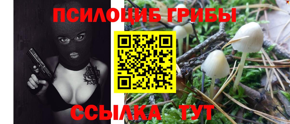 Псилоцибиновые грибы прущие грибы  Вход с VPN  Серов  Псилоцибиновые грибы MAGIC MUSHROOMS 